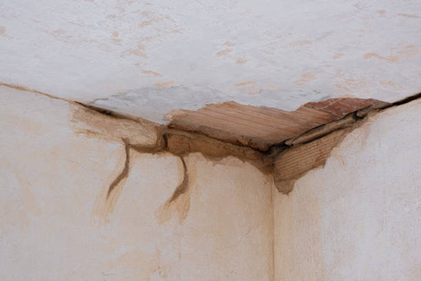 Best Water damage restoration process  in Hanley Hills, MO