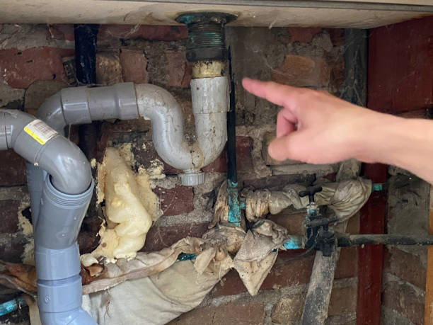 Trusted Hanley Hills, MO Water damage restoration Experts
