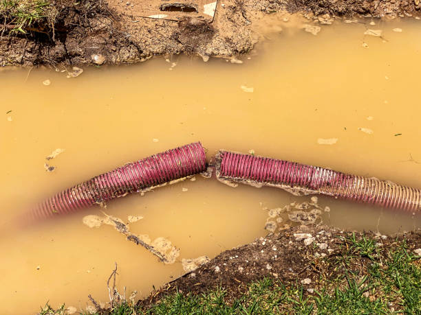 Best Water damage cleanup near me  in Hanley Hills, MO