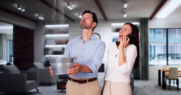 Best Local water damage restoration  in Hanley Hills, MO